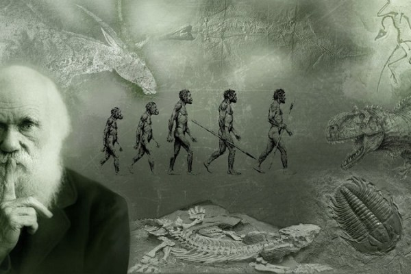 Pasted image 20260807124754.png